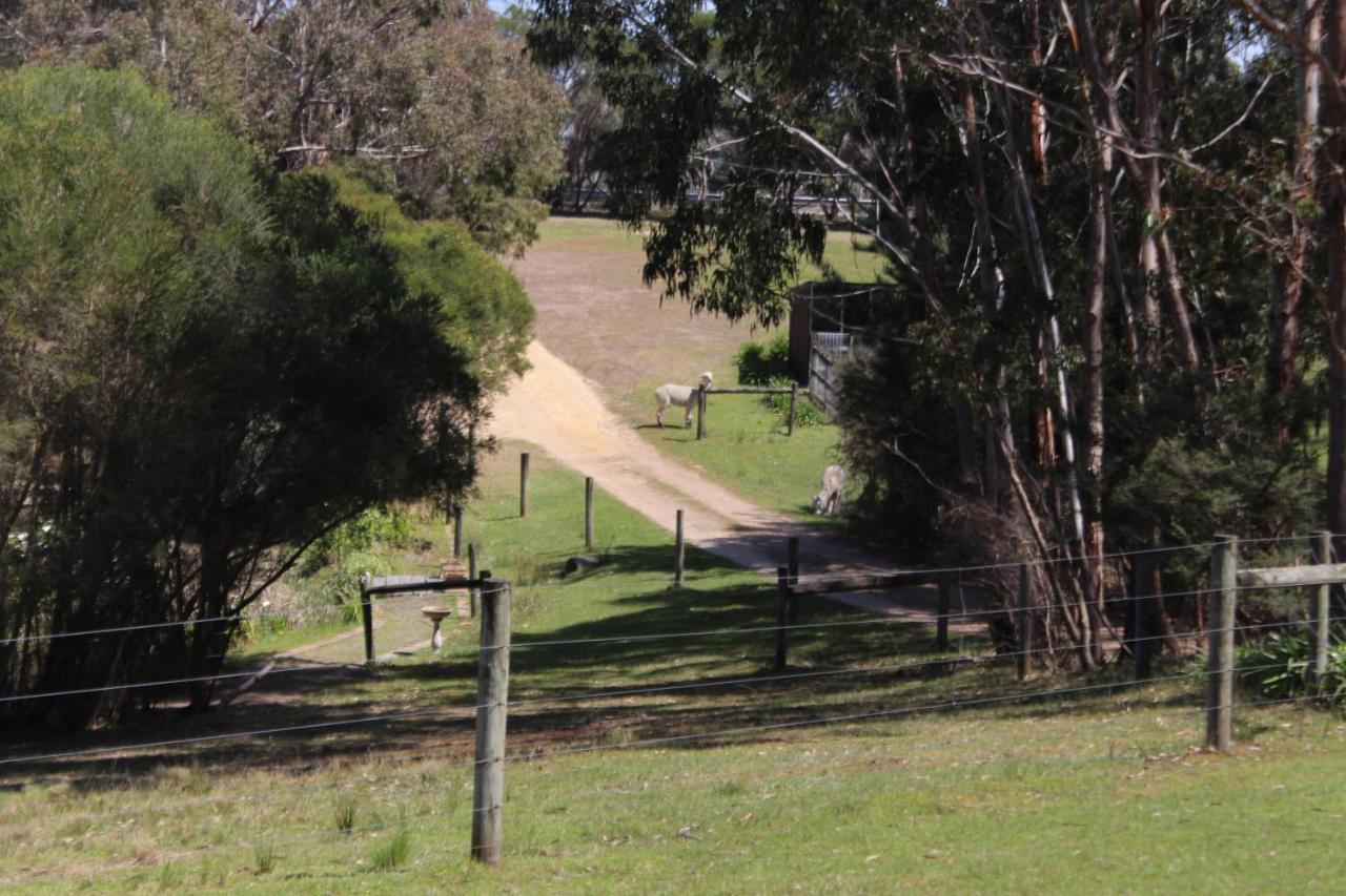 Bells Estate Great Ocean Road Cottages Torquay Extérieur photo